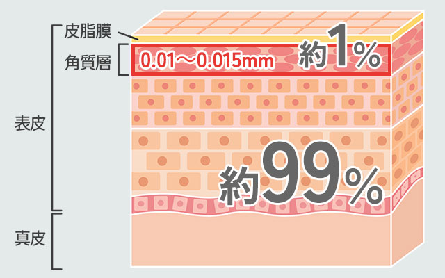 浸透